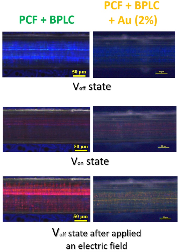 Effect of the external electric field around the photonic optical fibre filled with blue phase liquid crystal: undoped (left) and doped with nanoparticles of gold with 2% concentration (right)
