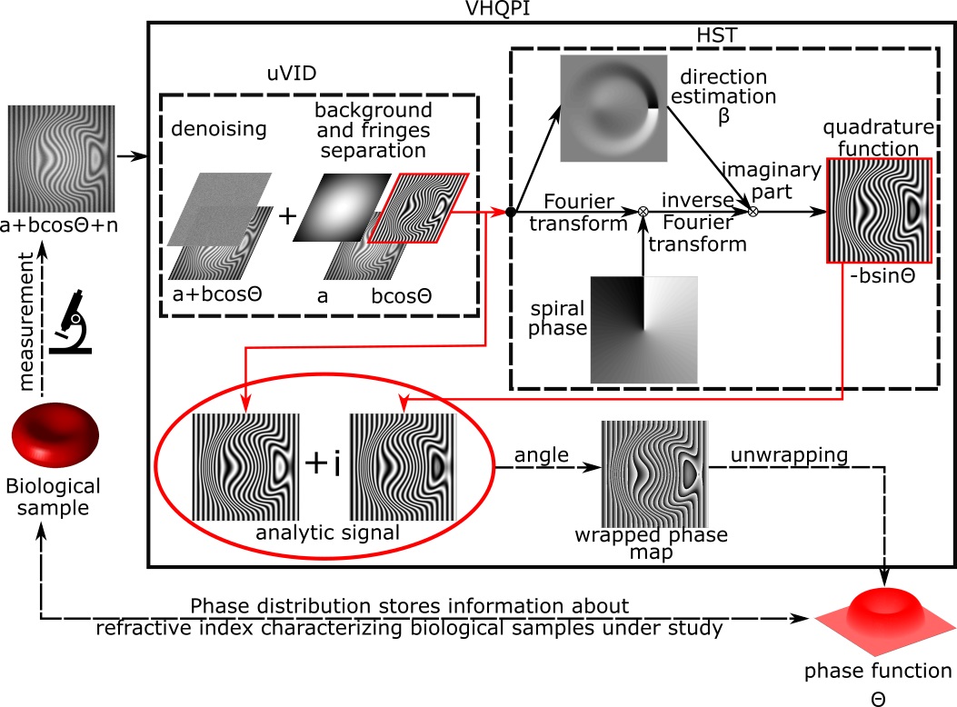 Single-frame algorithm of band image analysis - Variational Hilbert Quantitative Phase Imaging.
